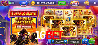 Crash Games Statistics 16bet